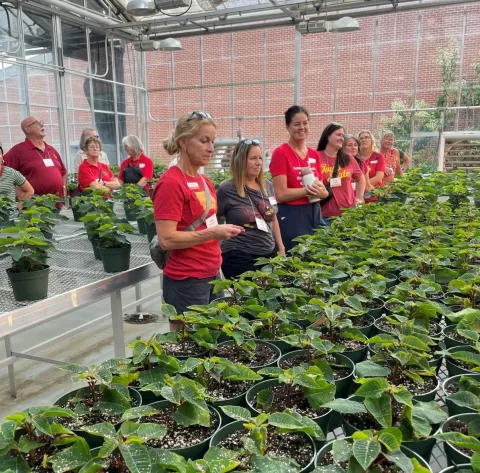 People standing with plants.