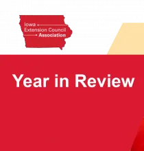 Year in Review